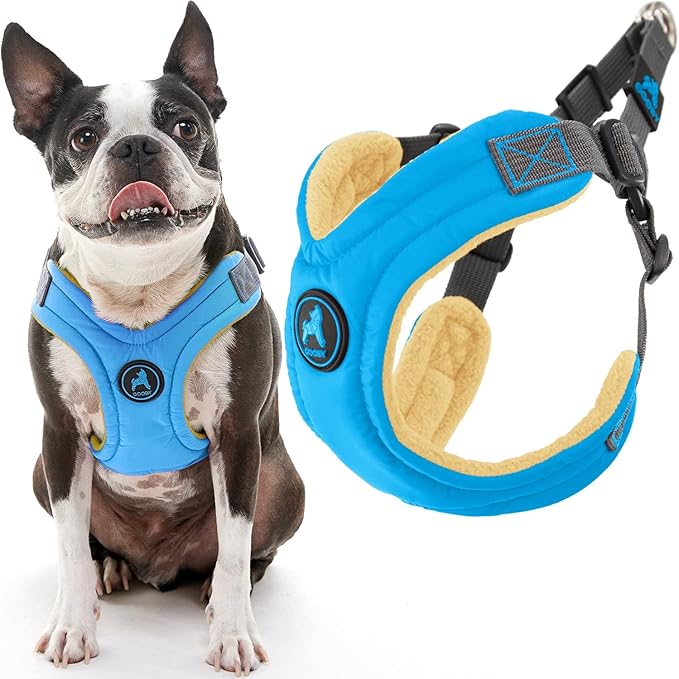 Gooby Escape Free Memory Foam Harness - Blue, Small - No Pull Step-in Dog Harness with Four Point Adjustment for Small to Medium Dogs
