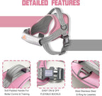 AUROTH Dog Harness and Leash Set, Soft Padded Service Dog Vest with 5.25FT Dog Leash, No Choke, Easy On Pet Vest, Adjustable Reflective No Pull Dog Harness Small Sized Dog, Easy Walking and Training