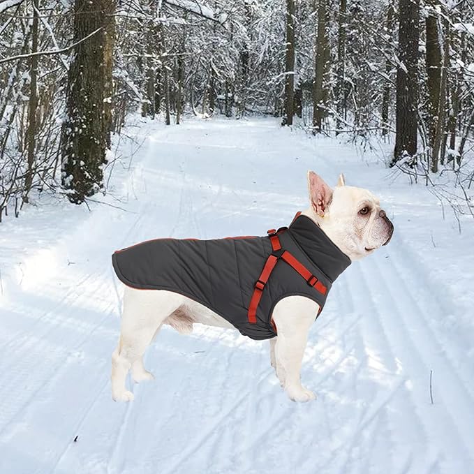 Geyecete Winter Warm Coat Waterproof Dog Winter Jacket with Harness Traction Belt,Windproof Pet Outdoor Jacket Dog Autumn-Gray-M