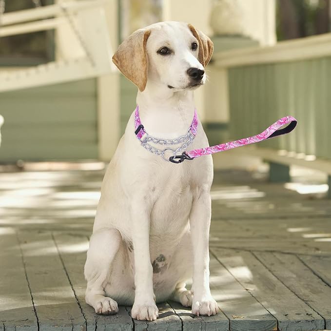 Martingale Dog Collar - Stainless Steel Chain, No Pull Training Collar with Flower Design for Large Medium Small Dogs (S, Pink)