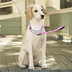 Martingale Dog Collar - Stainless Steel Chain, No Pull Training Collar with Flower Design for Large Medium Small Dogs (S, Pink)
