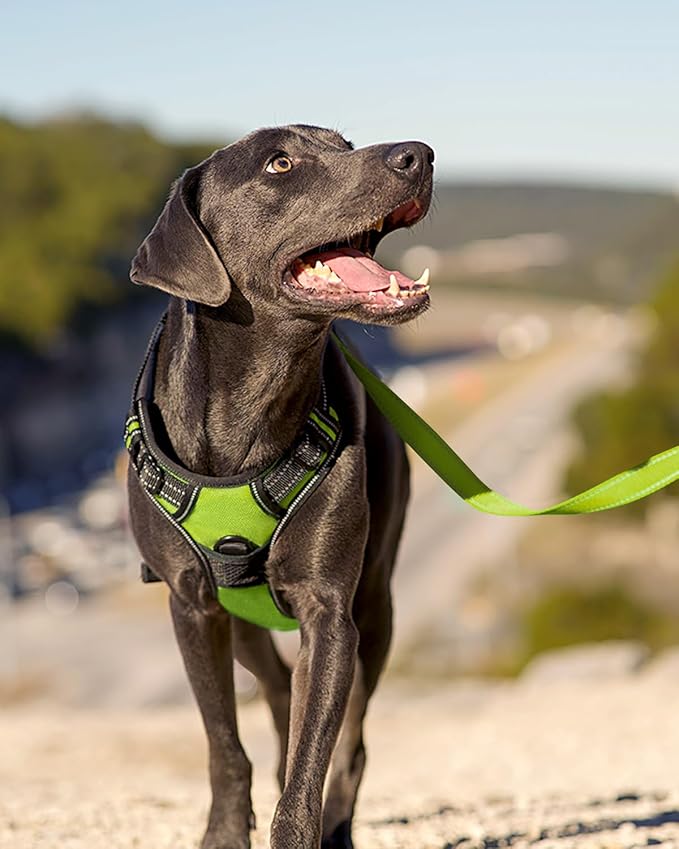 Joytale No Pull Dog Harness for Small Dogs, Reflective Pet Vest with Front Clip, Adjustable Soft Padded Harnesses with Easy Control Handle for Training and Walking, Green, S