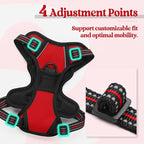 rabbitgoo Dog Harness No Pull with 2 Leash Clips, Adjustable Soft Padded, Reflective Oxford No Choke Pet Vest with Easy Control Handle for Puppy, Red,XS