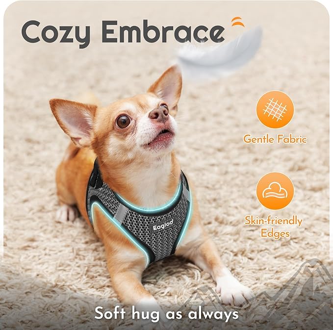Eagloo Small Dog Harness and Leash Set, Step in Puppy Vest with Breathable Soft Mesh, Walking Reflective Pet Harness for Medium Small Dogs, Gray, L