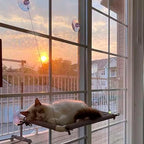 Cat Window Perch Suction Cup - 4 Pack Replacement Clear PVC Sucker Pads for Cat Hammocks, Beds, Perches - Strong & Powerful Large Suction Cups (3.4in/85mm)