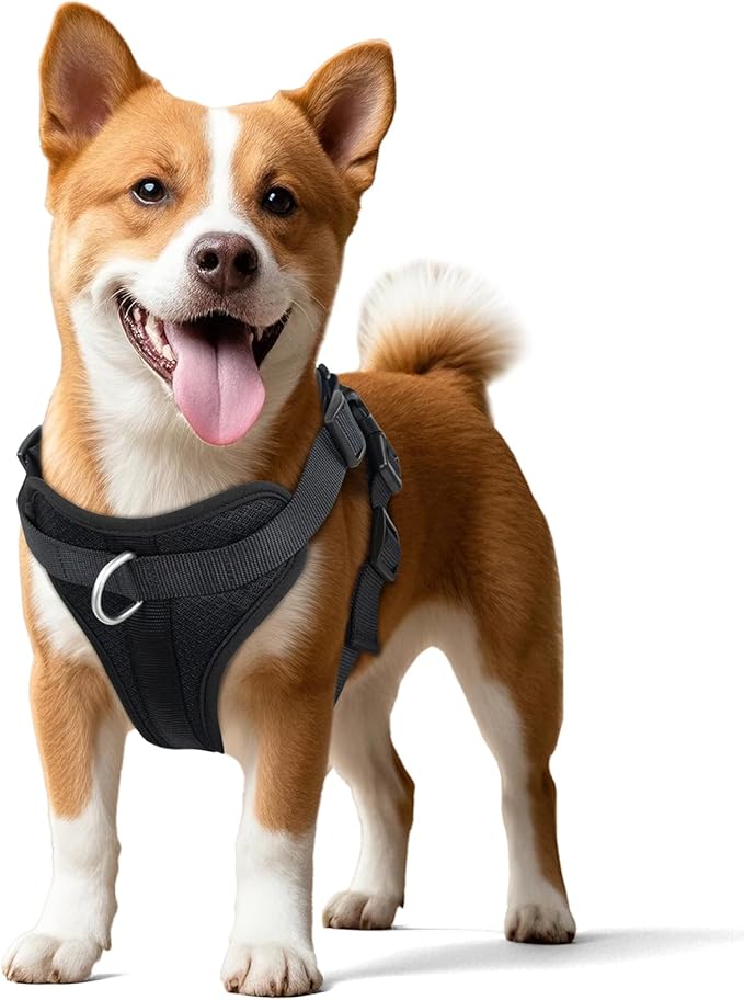 Wisedog Dog Harness Medium Sized, Pet Vest with Front Clip, Adjustable Puppy Harness with 3 Fast Release Buckles[Easy to Put on & Take Off] (Black, M)