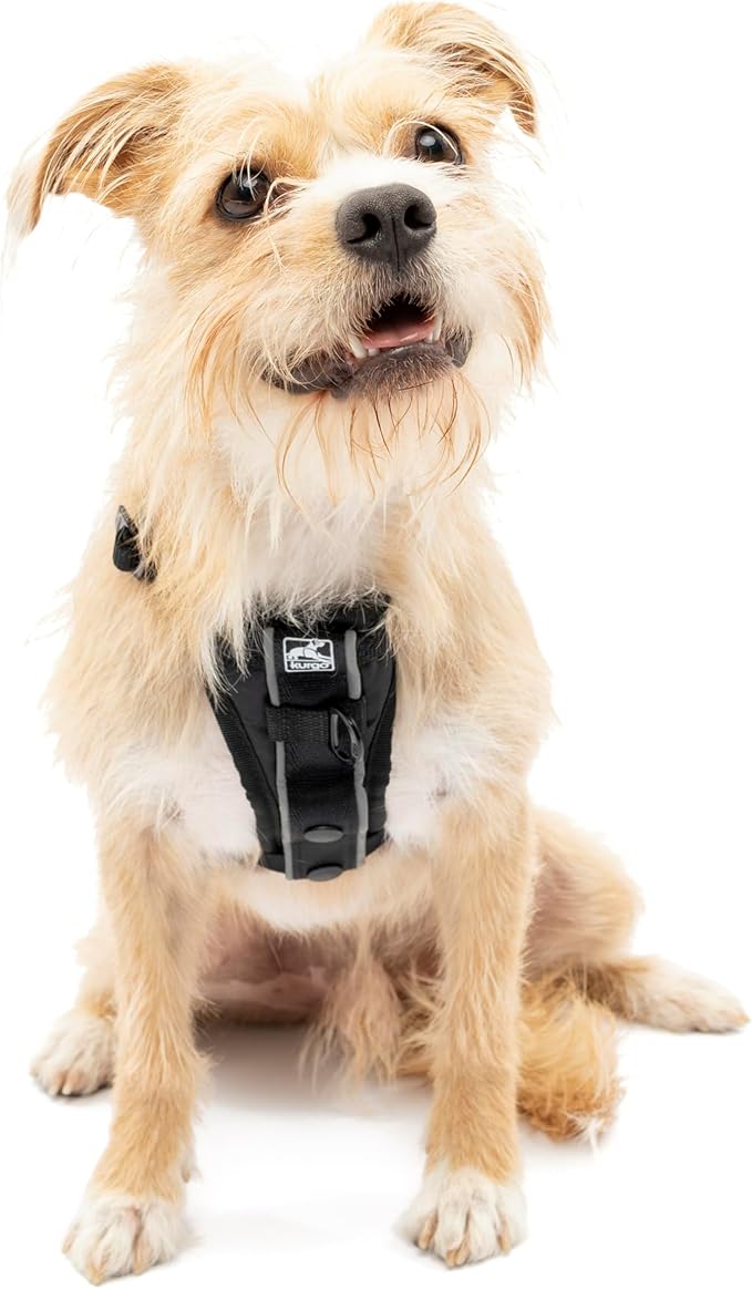 Kurgo Dog Harness | Pet Walking Harness | Small | Black | No Pull Harness Front Clip Feature for Training Included | Car Seat Belt | Tru-Fit Quick Release Style