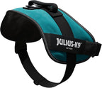 Julius-K9, 16IDC-PG-4, IDC Powerharness, Dog Harness, Size: 4, Petrol Green