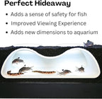 Aquarium Underground Tunnel Cave Natural Curve Two Hole | Viewing Fish & Shrimp Under Gravel Tunnel | Fish Tank Decor Decoration Hideout Perfect for Corydora Catfish, Kuhli Loach, Pleco (White)