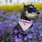 Elegant little tail Dog Bandana 1PC Washable Cotton Summer Dog Kerchief Reversible Cotton Bibs Scarf Triangle Scarfs for Small Medium Large Dogs