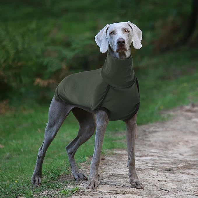 ROZKITCH Dog Winter Coat Soft Pullover Pajamas, Pet Windproof Warm Cold Weather Jacket Vest Cozy Jumpsuit Apparel Outfit Clothes for Walking Hiking Travel Sleep Green S
