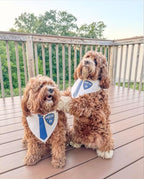 Pawlice Dog Bandana | Professions Halloween Costume | 100% Cotton Triangle | Made in USA | Police Themed | Parade Party | Trick or Treat | Matching Set | White X-Small (1154)