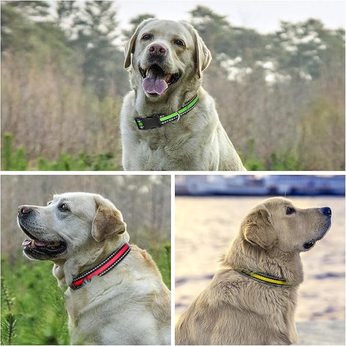 PetJoy 3-Pack Dog Collar - Quick-Release Buckle & D-Rings - Reflective Multi-Color (R/Y/G) - Adjustable 8-27" for Most E-Collars - Durable Waterproof Nylon