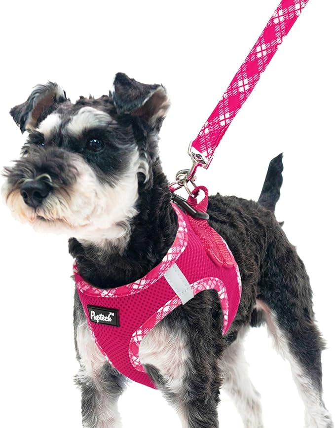 PUPTECK Dog Harness and Leash Set for Small Medium Dogs No Pull Step-in Soft Mesh Puppy Cat Vest Harnesses Reflective at Night, Fuchsia, M