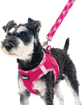 PUPTECK Dog Harness and Leash Set for Small Medium Dogs No Pull Step-in Soft Mesh Puppy Cat Vest Harnesses Reflective at Night, Fuchsia, M