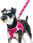 PUPTECK Dog Harness and Leash Set for Small Medium Dogs No Pull Step-in Soft Mesh Puppy Cat Vest Harnesses Reflective at Night, Fuchsia, L