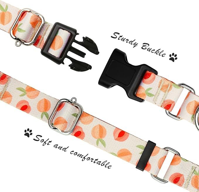 Hikiko Martingale Collar for Dogs Peach Dog Collar for Small Medium Large Dogs Cute Holiday Summer Dog Collars Pet Gift (Peach,Large)