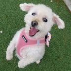 Best Pet Supplies Voyager Step-in Air Harness - All Weather Mesh, Reflective, No Pull Harness for Dogs, Cats - Secure with Hook & Loop Fastener, Buckle, Double D-Rings - Pink, XL