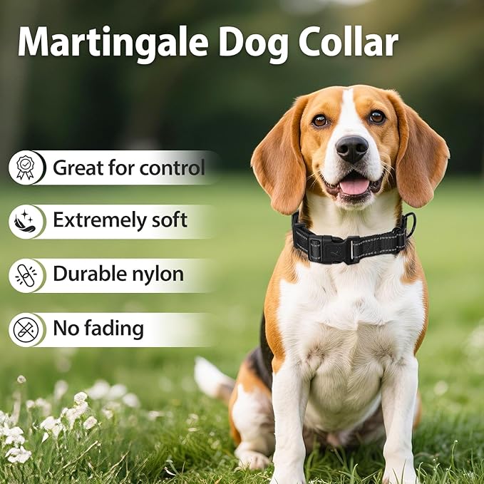 Martingale Collar for Dogs with Quick Release Buckle, Reflective Soft Padded & Escape Proof, Adjustable Nylon Dog Collars for Training & Daily Walking (Black,S)