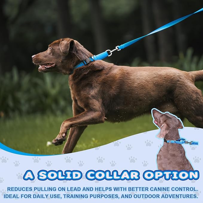 Martingale Collar for Dogs Large Medium Small Heavy Duty Buckle Dog Collar with Tag Ring Reflective Nylon Gradient Dog Collar No Pull Training Collar