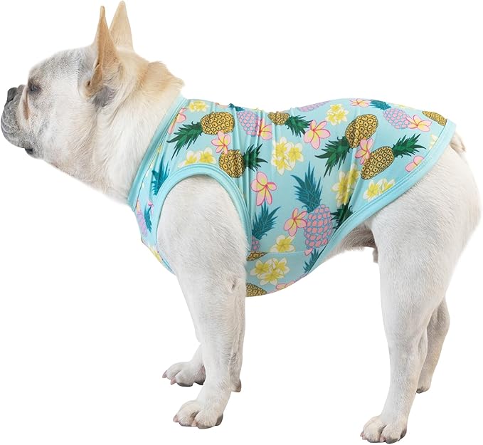CuteBone Dog Shirts 2-Pack Soft Pet Clothes Breathable Summer Vest for Small Puppy and Stretchy Cat Apparel 2BX06S