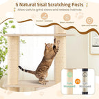 63" Tall Wooden Cat Tree, Indoor Kitten Tower with 2-Story Condo, Plush Padded Top Perch, Sisal Scratching Posts & Mat, Dangling Ball, Multi-Level Climbing Stand, Modern Indoor Pet Furniture