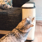 Navaris Cat Scratch Mat Sofa Protector - Natural Sisal Furniture Protector Scratching Pad for Cats - Scratch Carpet for Couch, Sofa, Chair