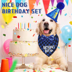 Weewooday Dog Birthday Party Supplies Birthday Boy Girl Cake Bandana Triangle Scarf Party Hat Dog Bow Tie Collar with Numbers for Large Medium Small Dog Puppy 1st Birthday(Elegant Style,Medium)