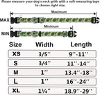 Martingale Collar for Dogs with Buckle Adjustable Nylon Tropical Slip No Pull Training Dog Collars (Palm Leaf, XLarge)