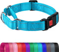 Joytale Martingale Collar for Dogs, Reflective Heavy Duty for Safety, Quick Release Buckle, Adjustable Nylon Collars for Large Dogs Walking Training, Sky Blue,L
