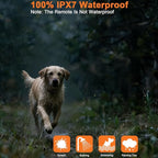 Aikko Dog Shock Collar with Remote - 3300FT Training Collar for Small Medium Large Dogs, IPX7 Waterproof Rechargeable eCollar with 3 Training Modes for No-Pull Stubborn Dogs (Orange)
