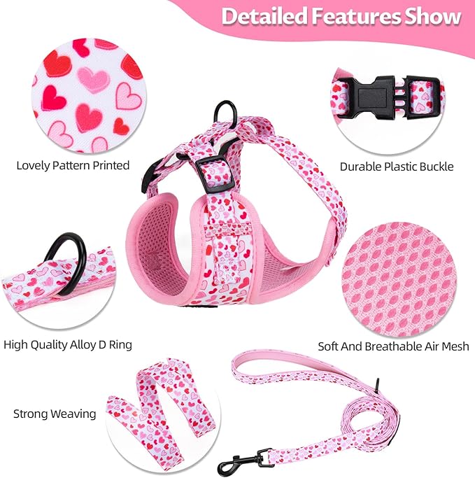 Dog Harness and Leash Set, Adjustable Dog Harness, Dog Leash, No Pull No Choke Puppy Harnesses for Walking Training for Small, Medium Pet (Little Love, L(Chest 19.6-28", Neck 15.7-21.1"))