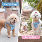 rabbitgoo Small Dog Harness, Step-in Soft Mesh Puppy Vest with Safety Buckle, Breathable Reflective Pet Harness for Small Medium Dogs, Blue & Plaid Trim L