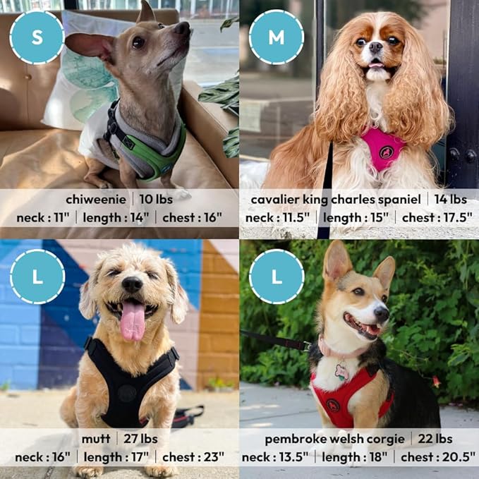 Gooby Escape Free Sport Harness - Lime, Small - No Choke Step-in Patented Neoprene Dog Harness with Four-Point Adjustment for Small to Medium Dogs