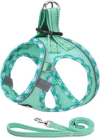 AMTOR Small Dog Harness with Leash Set, No Escape Easy Walk Puppy Harnesses for Training Walking, Step-in Reflective Soft Dogs Vest for XS S Medium Extra-Small Large Sized Dog (S,Light Green)