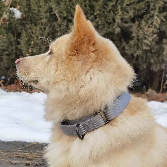 Premium Nylon Adjustable Anti-Escape Martingale Dog Collars,Sturdy,Comfort and Silky Dog Collar for Large Dogs Walking,Training,etc... (Ultimate Grey, Large)
