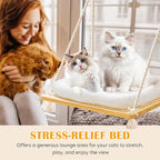 Cat Window Perch Cat Hammock Kitten Window Seat with Cushion Bed Cover Solid Wood Seat with Strong Suction Cups Hanging Kitten Bed for Small Medium Indoor