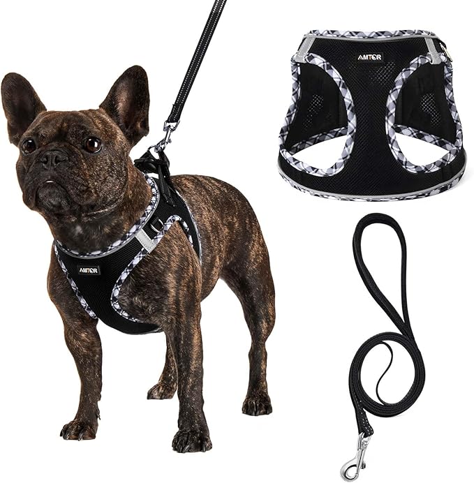 AMTOR Small Dog Harness with Leash Set, No Escape Easy Walk Puppy Harnesses for Training Walking, Step-in Reflective Soft Dogs Vest for XS S Medium Extra-Small Large Sized Dog(Black/GreyWhite,Small)