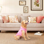 EXPAWLORER Dog Hoodie Fleece Sweater Vest, Hooded Dog Sweatshirt Fall Winter Pet Clothes with Leash Hole, Sleeveless Warm Cozy Puppy Clothing for Cat Small Medium Large Dogs Girl Boy, Pink XXL