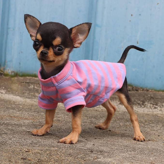 LOPHIPETS 100% Breathable Cotton Striped Dog Tee Shirt T-Shirt for Small Dogs Teacup Chihuahua Yorkie Puppy Clothes -Purple and Pink Strips/XXS