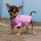 LOPHIPETS 100% Breathable Cotton Striped Dog Tee Shirt T-Shirt for Small Dogs Teacup Chihuahua Yorkie Puppy Clothes -Purple and Pink Strips/XXS