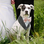 FUAMEY Dog Tuxedo for Large Dogs,Dog Formal Suit Dogs Attire Pet Bow Tie Puppy Party Costumes Cat Tux Outfits Pets Bandana Cosplay Adjustable Bowties Wedding Birthday Valentines Grey L