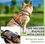 WINSEE Dog Harness No Pull, Pet Harnesses with Dog Collar, Adjustable Reflective Oxford Outdoor Vest, Front/Back Leash Clips for Small, Medium, Large, Extra Large Dogs, Easy Control Handle for Walking