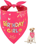 SZEE Dog Birthday Bandana, Reversible Bandanas for Dog Birthday Outfits, Pet Apparel & Accessories, Triangle Pet Scarf for Photo Prop and Holiday Decor (X-Large, Pink)
