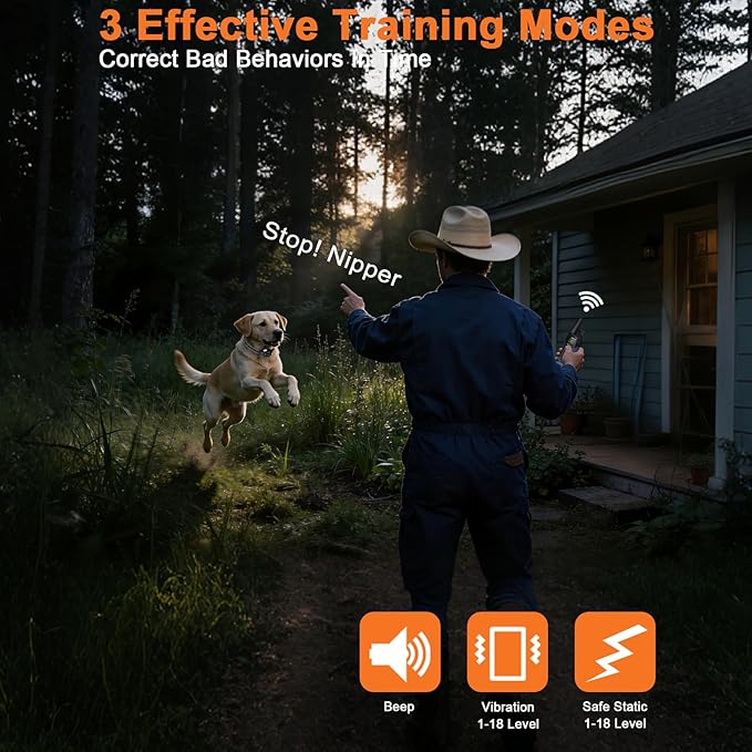 Aikko Dog Shock Collar with Remote - 3300FT Training Collar for Small Medium Large Dogs, IPX7 Waterproof Rechargeable eCollar with 3 Training Modes for No-Pull Stubborn Dogs (Orange)