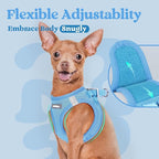 rabbitgoo Small Dog Harness, Step-in Soft Mesh Puppy Vest with Safety Buckle, Breathable Reflective Pet Harness for Small Sized Dogs, Blue M