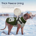 IECOii Dog Coat with Harness Built in - Green, Large - Waterproof Winter Coat, Fleece Lined Snow Jacket for Dogs