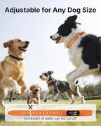 Anti Bark Collar for Small Medium Large Dogs, Vibrating Dog Collars No Shock, Rechargeable Smart AI Bark Collar, Automatic Dog Training Collar, IP 67 Waterproof Dog Barking Collar (Orange)