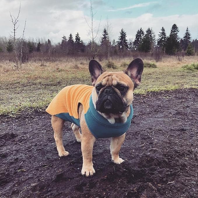 Gooby Half Stretch Fleece Vest Dog Sweater - Honey Mustard, X-Large - Warm Pullover Fleece Dog Jacket with D-Ring Leash for Small to Medium Dogs