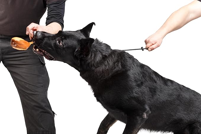Dingo Gear Choke Collar for Dog Training Handmade of Cord with A Limiter, Waterproof Black S04059, (S)